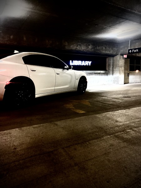 LaDarian's 2016 Dodge Charger — photo 1