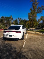 Steven's 2019 Dodge Charger — photo 2