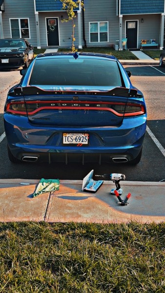 Suavie's 2018 Dodge Charger — photo 1