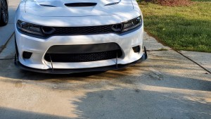 Saredu's 2016 Dodge Charger — photo 4