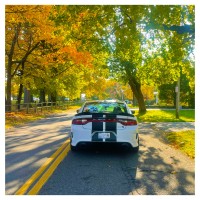 Eliezer's 2018 Dodge Charger — photo 2