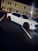 LaDarian's 2016 Dodge Charger — photo 4