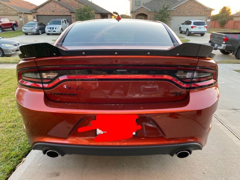 Alejandro's 2020 Dodge Charger — photo 1