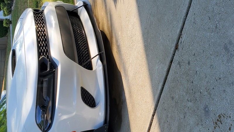 Saredu's 2016 Dodge Charger — photo 1