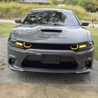 Travis's 2019 Dodge Charger — photo 6
